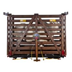 BALANÇA ELETRÔNICA KM3-N COM BARRA DE 900 MM E GAIOLA RETANGULAR FIXA BALANÇA ELETRÔNICA KM3-N COM BARRA DE 900 MM E GAIOLA RETANGULAR FIXA