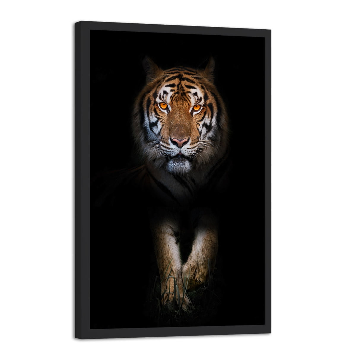 Quadro Decorativo Tigre Siberiano Colorido Sala