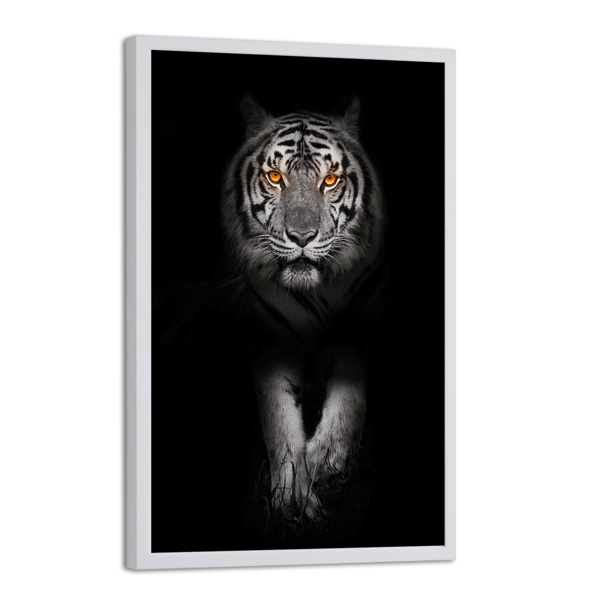 quadro tigre branco casal para decoração 3 peças