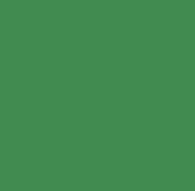 Tricoline 100% Algodão Lisa Verde Bandeira P308