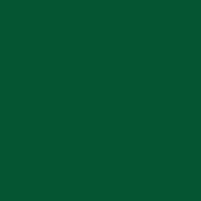 Tricoline 100% Algodão Lisa Verde Natal P332