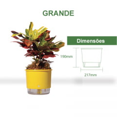 Vaso Autoirrigável Raiz - Grande Vaso Autoirrigável Raiz - Grande