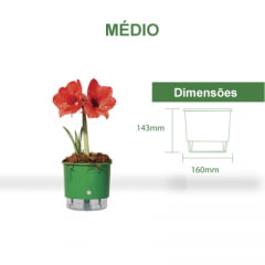 Vaso Autoirrigável Raiz - Médio Vaso Autoirrigável Raiz - Médio