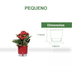 Vaso Autoirrigável Raiz - Pequeno Vaso Autoirrigável Raiz - Pequeno
