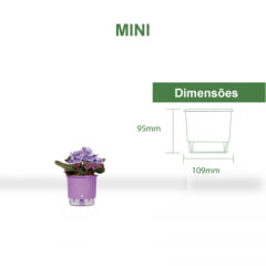 Vaso Autoirrigável Raiz - Mini Vaso Autoirrigável Raiz - Mini