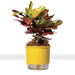 Vaso Autoirrigável Raiz - Grande Vaso Autoirrigável Raiz - Grande