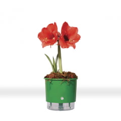 Vaso Autoirrigável Raiz - Médio Vaso Autoirrigável Raiz - Médio