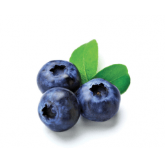Eliquid Blue Berry Eliquid Blue Berry