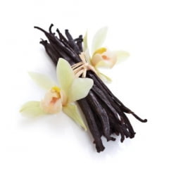 Eliquid Baunilha Eliquid Baunilha