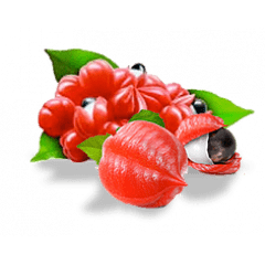 Eliquid Guaraná Eliquid Guaraná